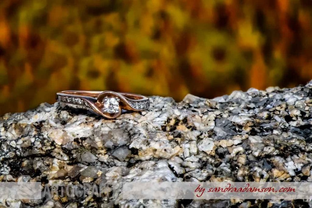 halifax, ns, nova scotia, peggy's cove, wedding, engagement, ring, rocks, fall, colors, ocean, sea