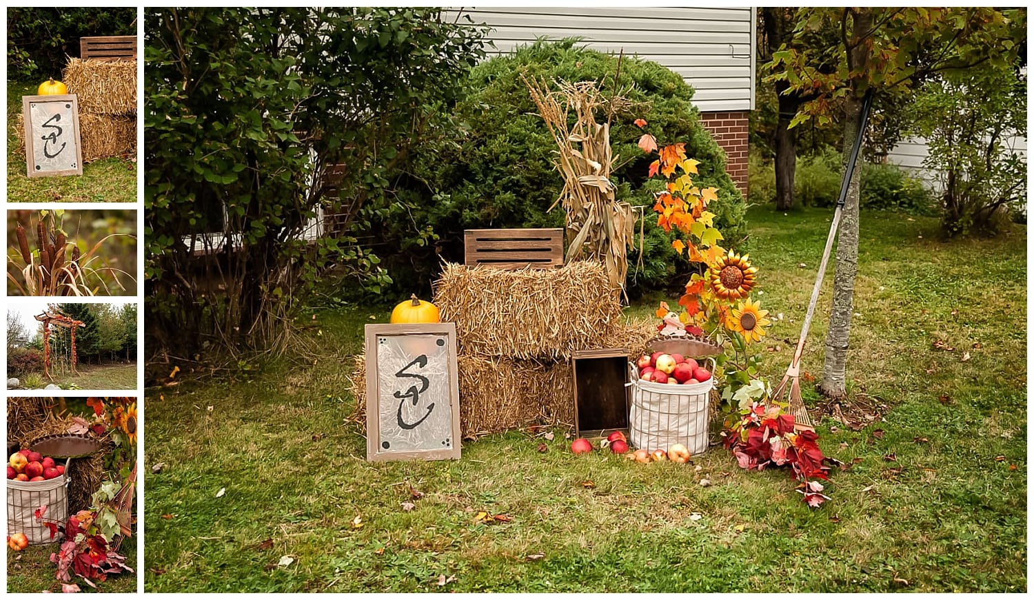 A backyard wedding set up in the fall with apples, raking leaves and wedding arch with autumn leaves.