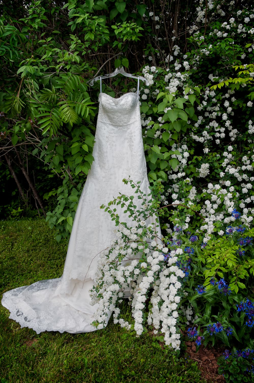 An elegant sleeveless lace a-line wedding dress amongst the flowers for a wedding in Windsor, NS.