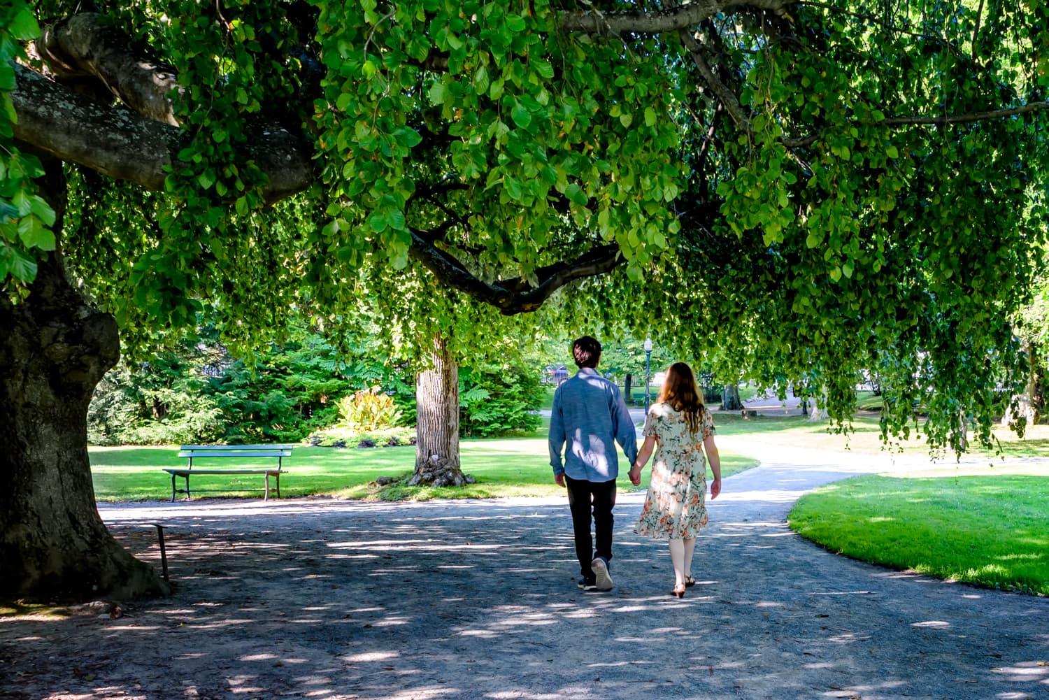 A newly engaged couple walks down a pathways at the Public Gardens in Halifax, NS under the tree canopy.