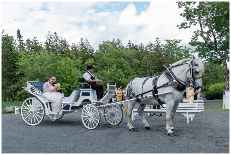 The bride and groom have a horse and carriage ride after their wedding ceremony at Hatfield Farm in Halifax, NS.