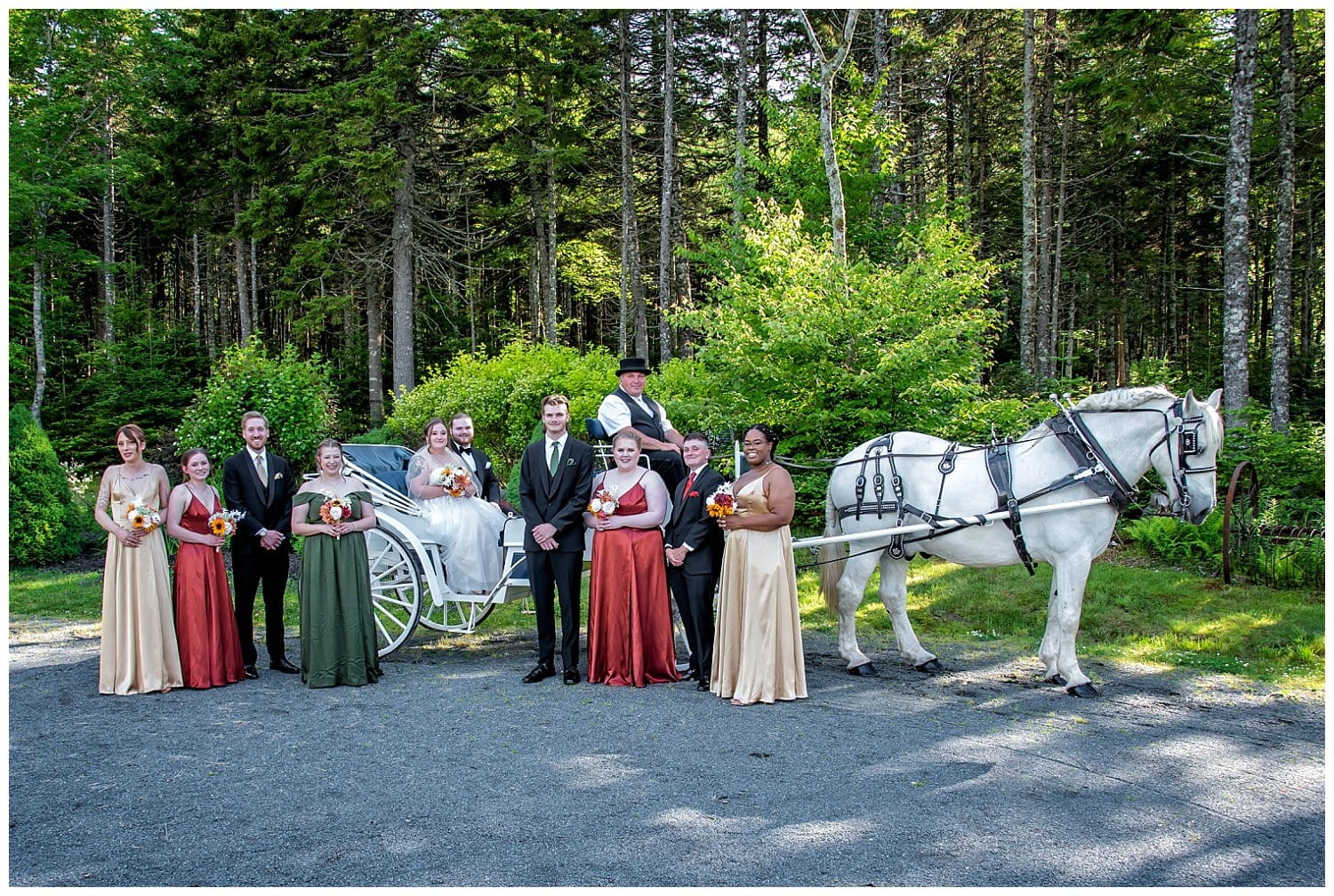 The wedding party poses with the bride and groom in front of the horse and carriage at Hatfield Farm in Halifax, NS.