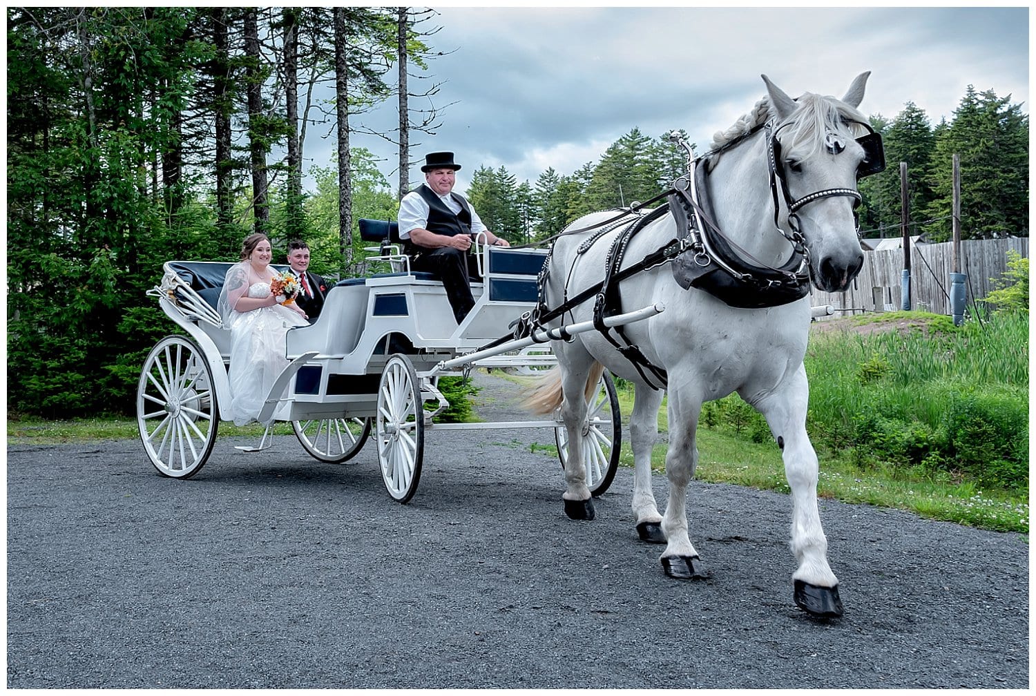 The bride has a horse and carriage ride to her wedding ceremony at Hatfield Farm in Nova Scotia.