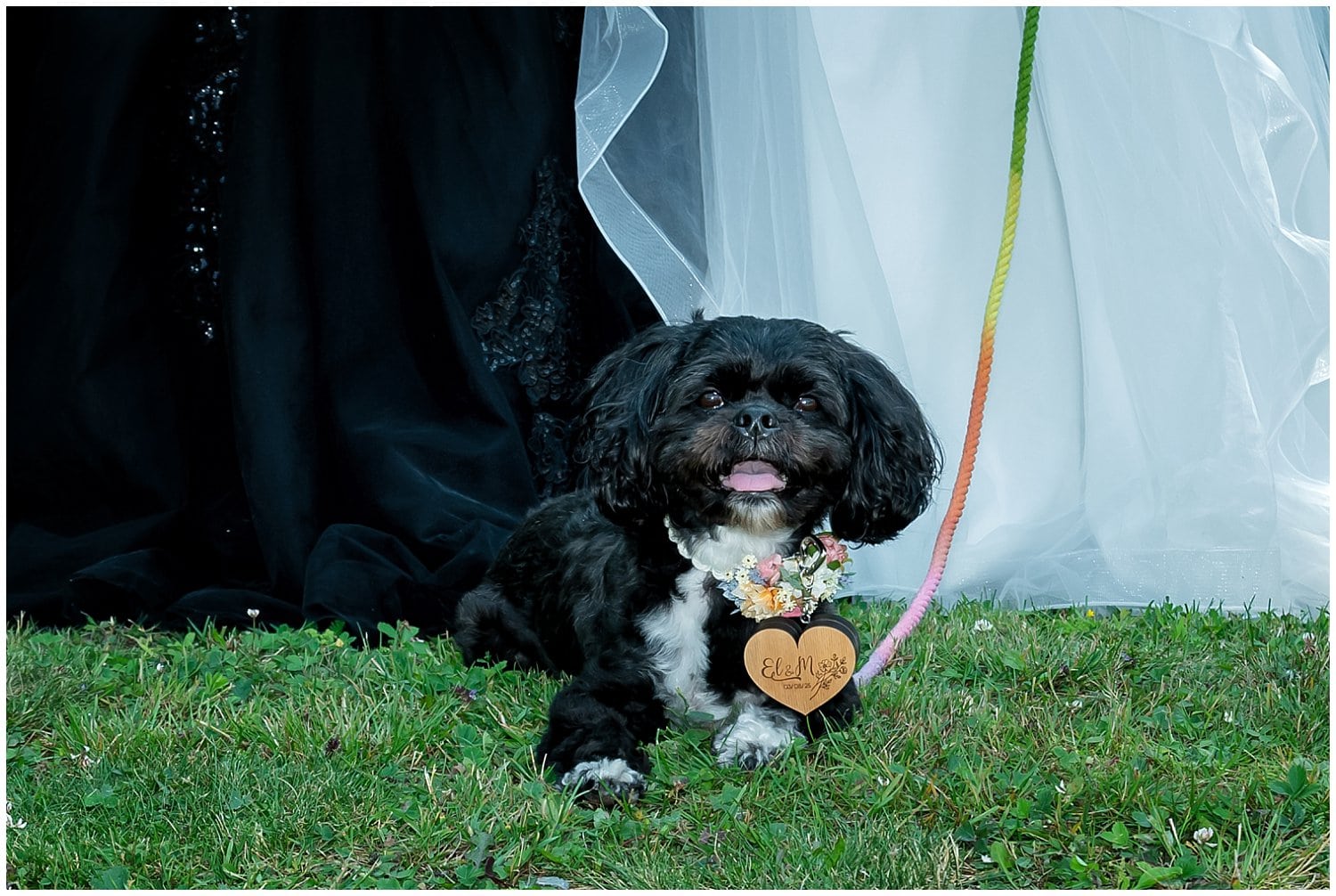 Onyx the dog approved of this LGBT wedding union. So darn cute.