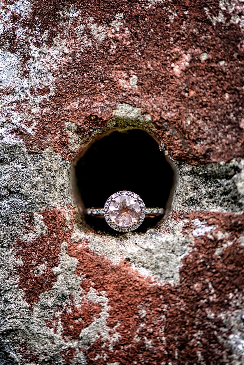 A pink diamond engagement ring capture at Point Pleasant Park in Halifax NS.