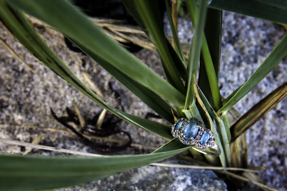 A triple blue gemstone engagement ring amongst the grass at Queensland Beach in Nova Scotia.
